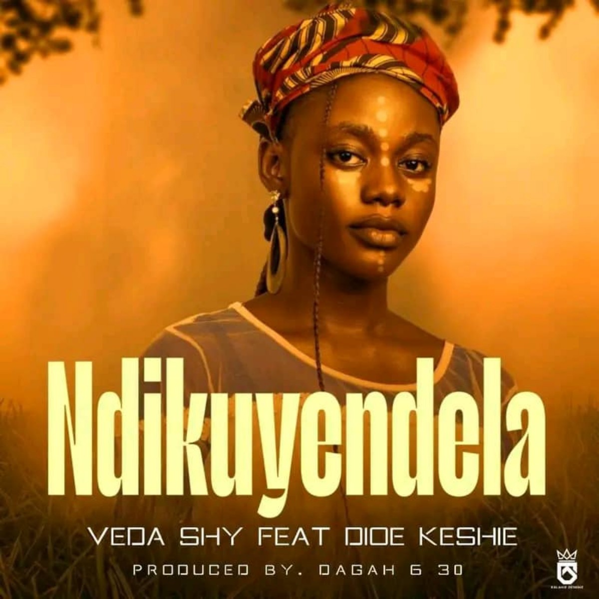 Ndikuyendera 